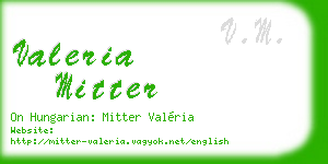valeria mitter business card